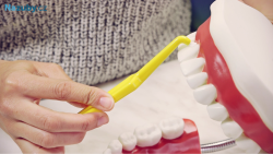 Suavinex SX PRO -2/2 m Birdies cumlík 2 ks - zelený