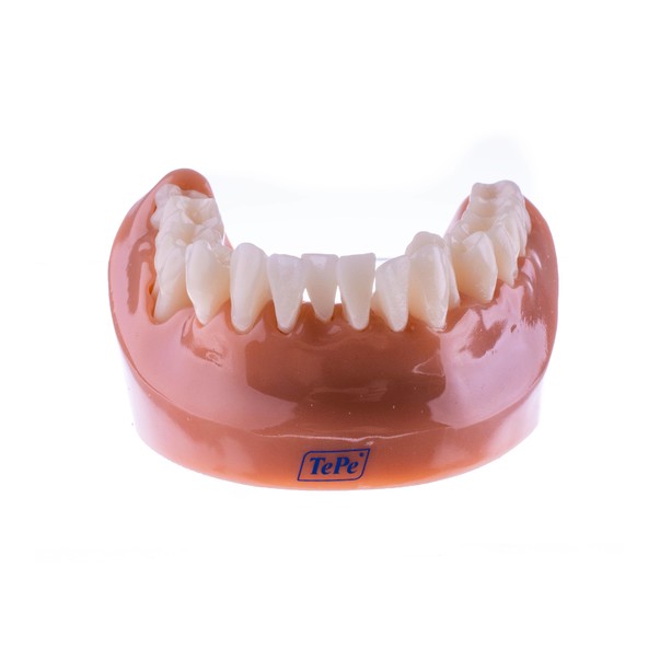 TePe Comunicator model problematických zubov