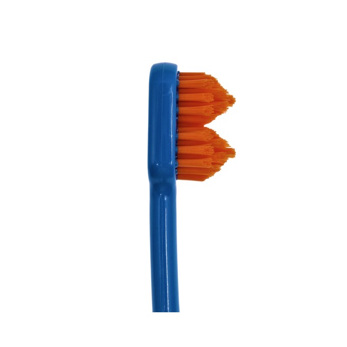 Splash Brush 2 150 zubná kefka modrá