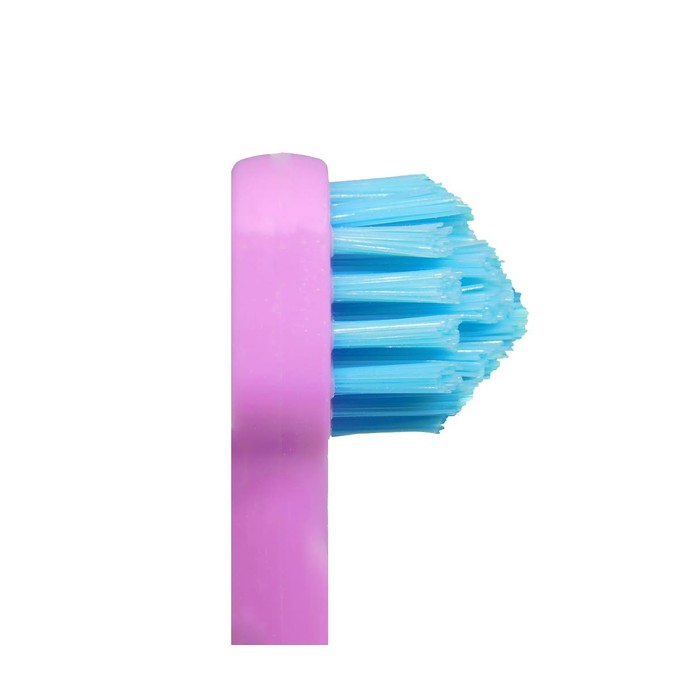 Splash Brush 170 zubná kefka fialová