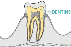 Akzenta Style Nitrile Emerald Green XS vyšetrovacie rukavice 100 ks