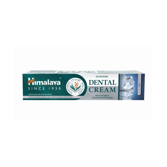 Himalaya Herbals Ayurvedic Dental Cream Salt zubná pasta 100 g