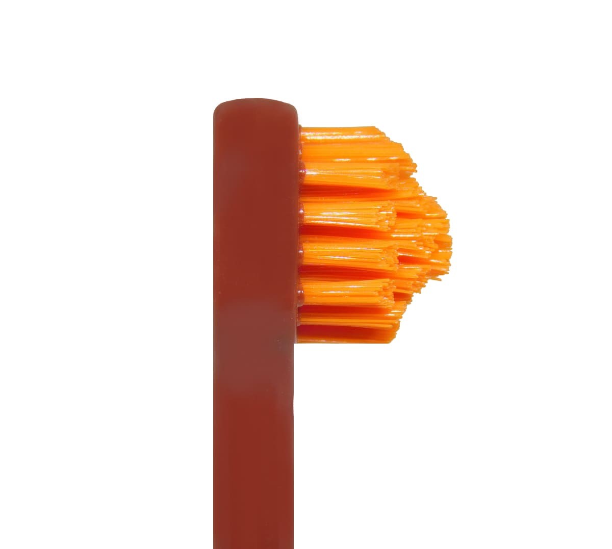 Splash Brush 150 zubná kefka hnedá