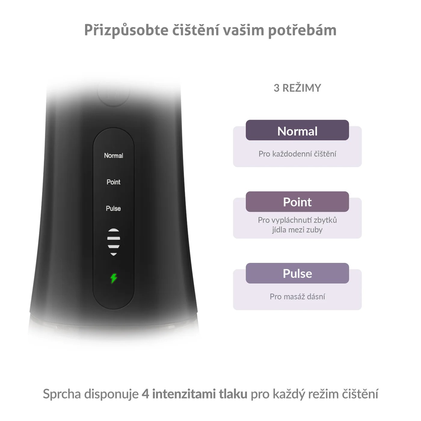 TrueLife AquaFloss Compact L100 Black ústna sprcha