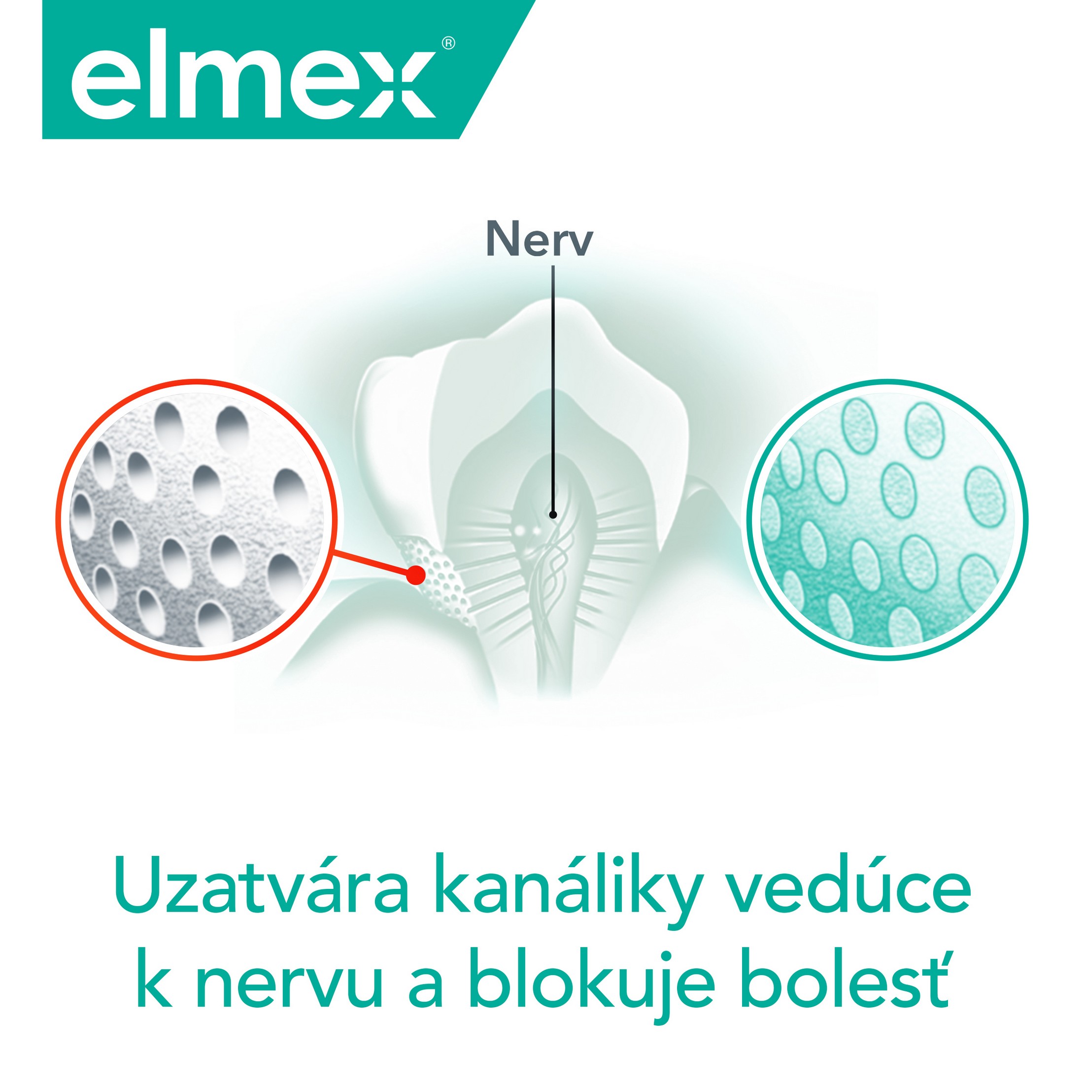 Elmex Sensitive Professional zubná pasta 20 ml