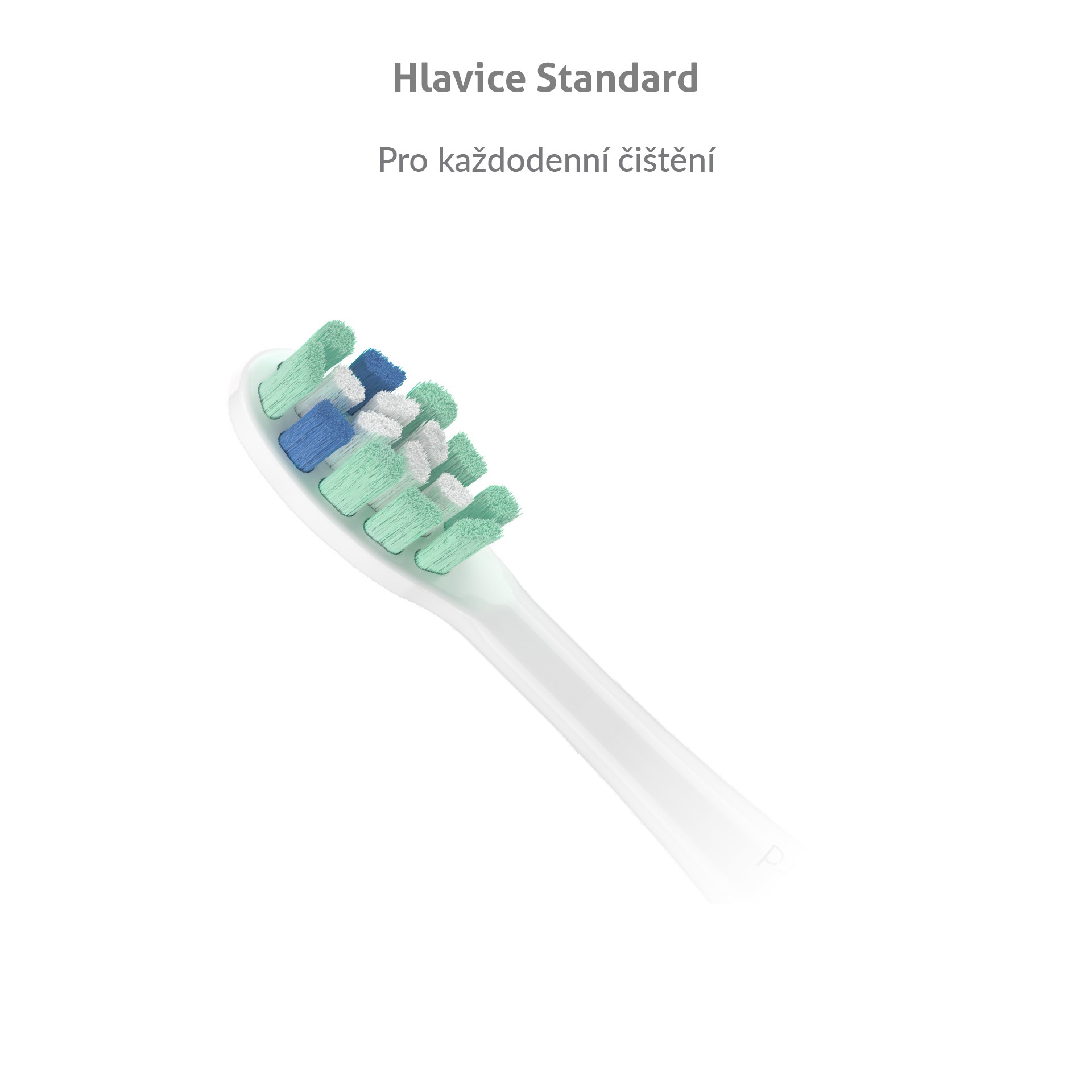 TrueLife SonicBrush Clean Series Standard White náhradné hlavice 2 ks