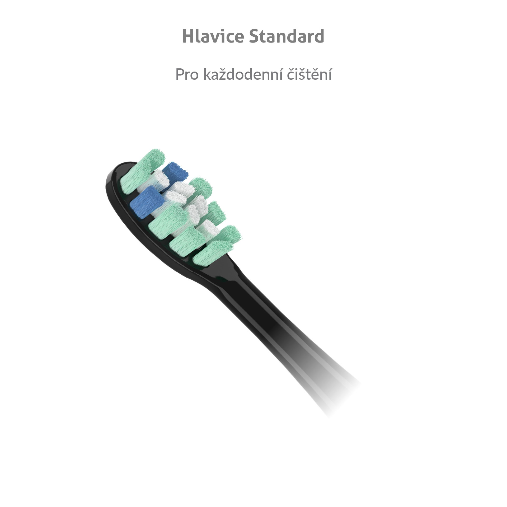 TrueLife SonicBrush Clean Series Standard Black náhradné hlavice 2 ks