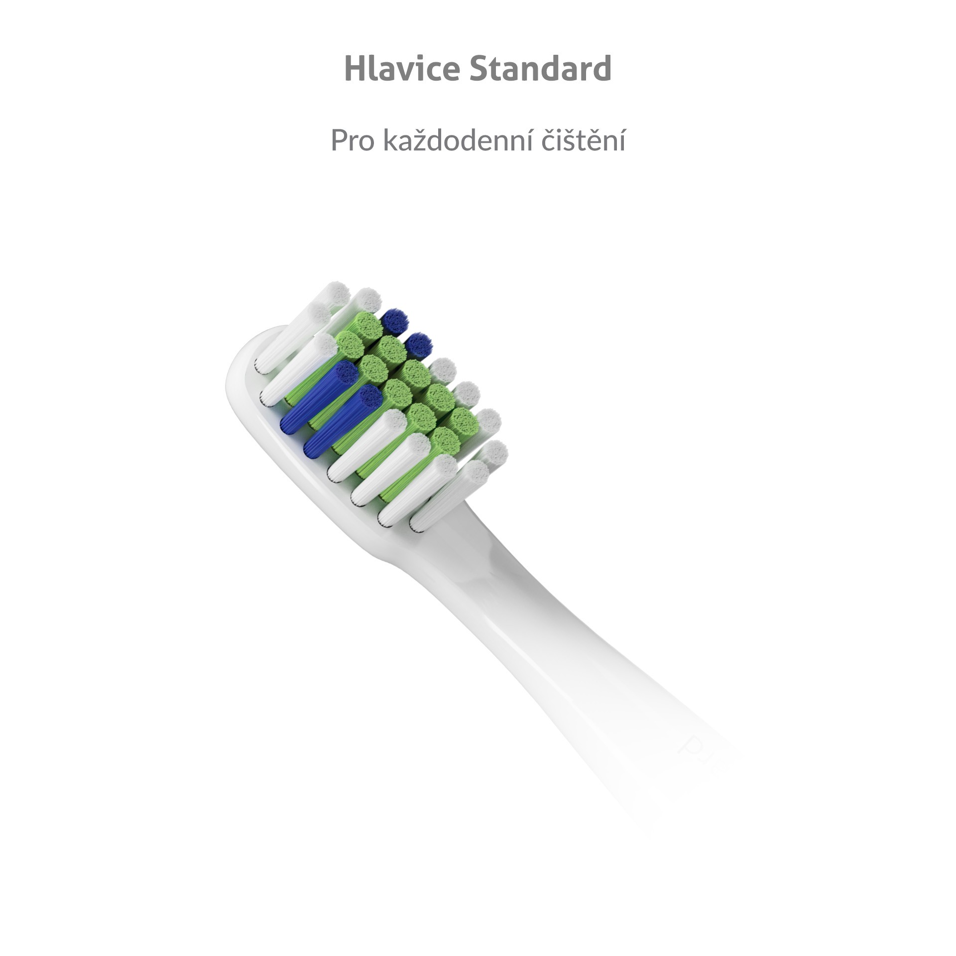 TrueLife SonicBrush Slim-Series Standard White náhradná hlavica 2 ks