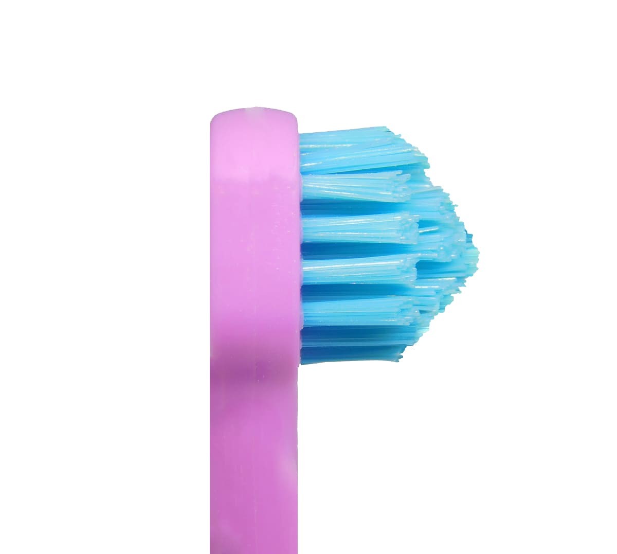 Splash Brush 170 zubná kefka fialová
